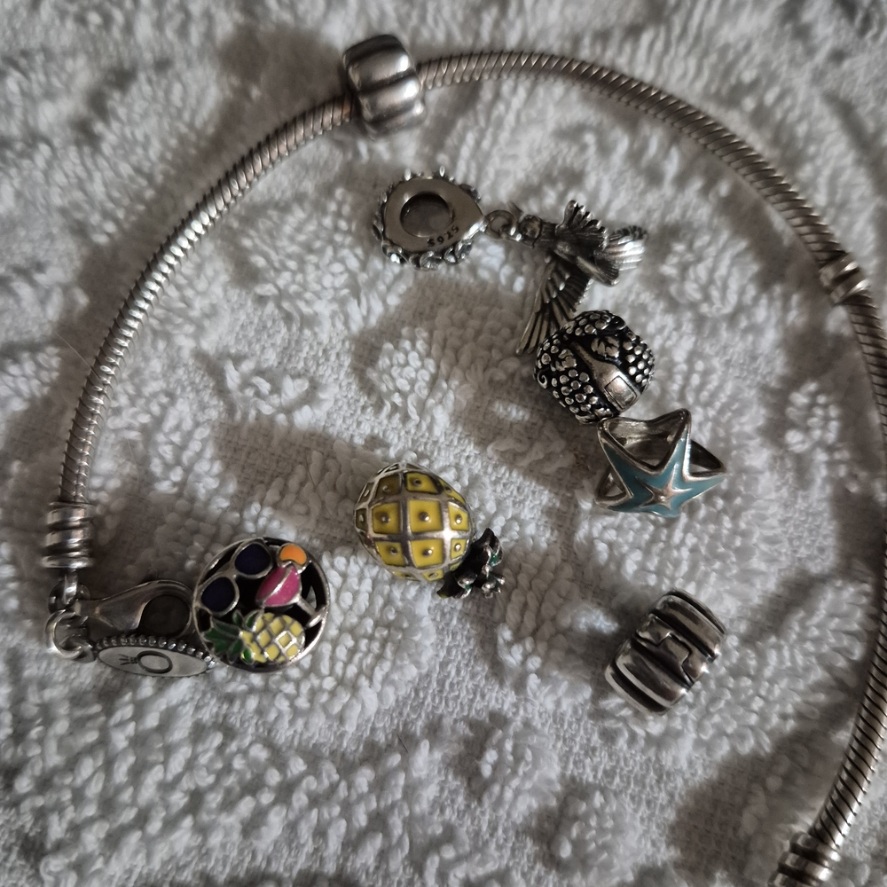 Pandora STERLING Silver Bracelet with 5 Charms & 2 Charm Stoppers.